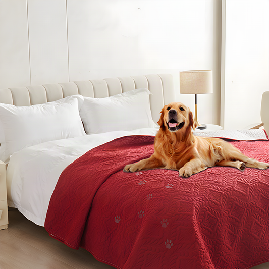 Red waterproof quilted dog blanket on a bed with a golden retriever