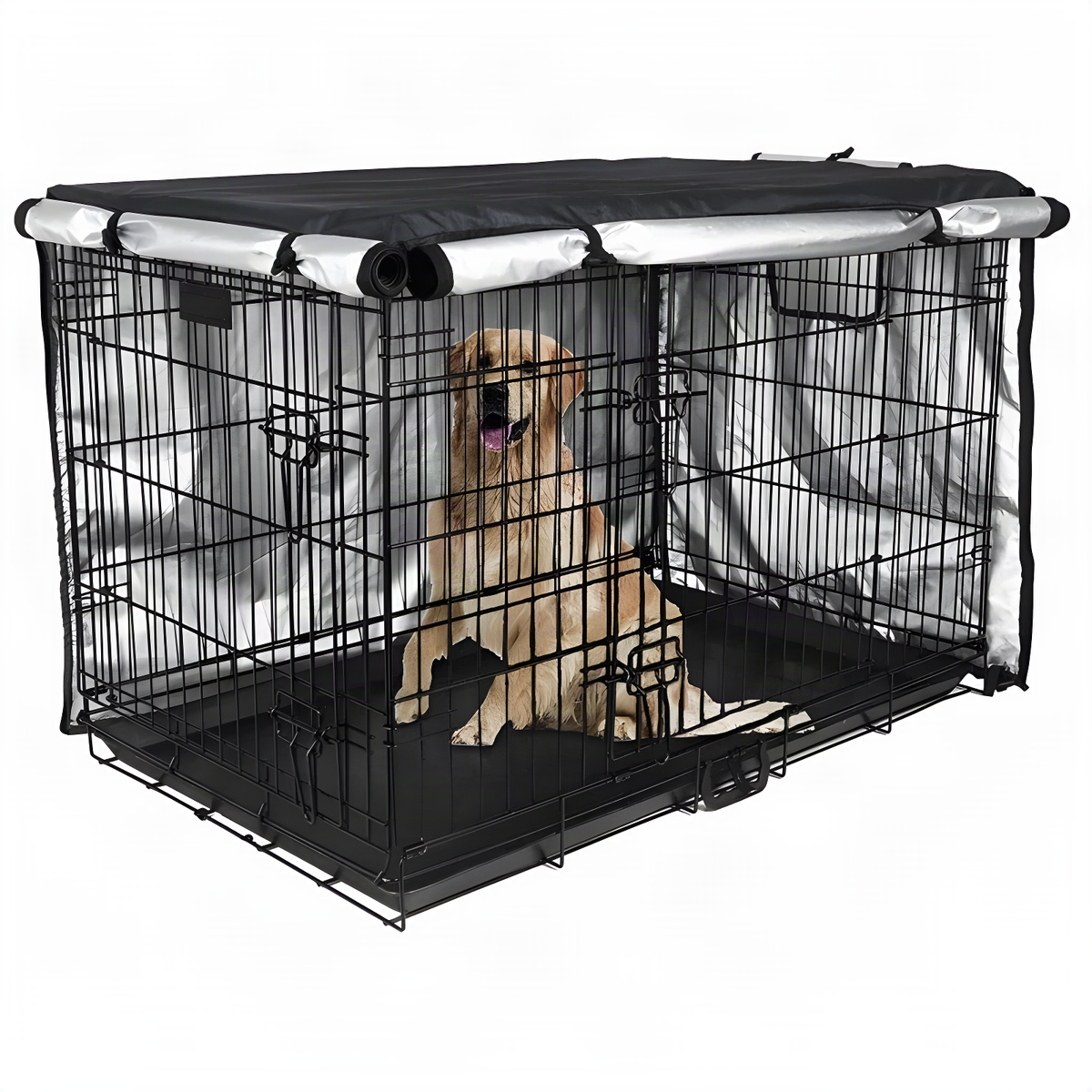 Golden retriever in a wire crate with the two-door cover rolled up