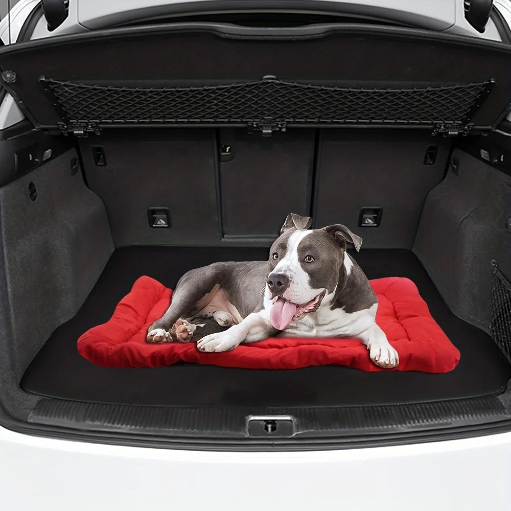 Dog lying on the red roll-up travel mat in a car boot