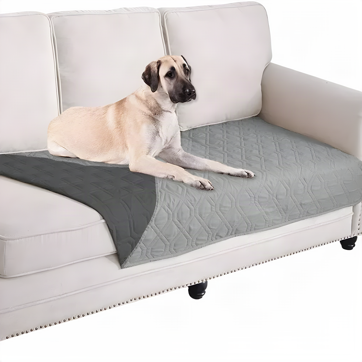 Grey quilted non-slip sofa protector with dog